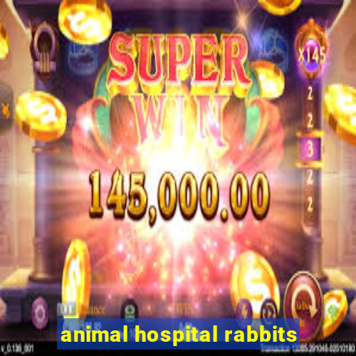 animal hospital rabbits